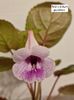 7.05.2026