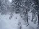 DSC05008