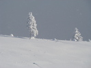 DSC05039
