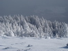 DSC05068