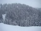 DSC05092
