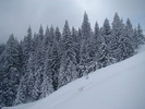 DSC05094