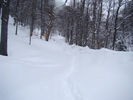 DSC05103