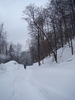 DSC05104