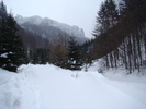 DSC05105