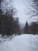 DSC05106