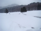 DSC05111