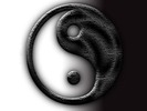 yingyang