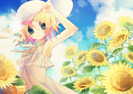 anime_summer_pasionata