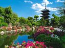 toji-temple-kyoto-japan