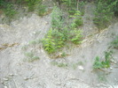 Picture 062