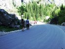 oglinzi mai 2009 174