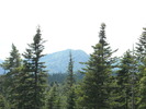 Picture 100