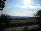 Picture 129