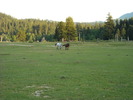 Picture 207