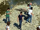 oglinzi mai 2009 258