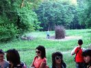 oglinzi mai 2009 351