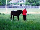 oglinzi mai 2009 360
