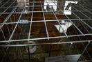 DSC02617