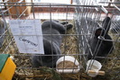 DSC02620