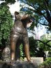 154775-hachiko-statue-shibuya-tokyo---famous-meeting-point-tokyo-japan