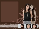 Selena-selena-gomez-1115269_800_600