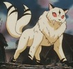 Kirara_big[1]
