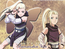 Yamanaka_Ino_wallpaper_by_yamazakim