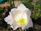 DSC05445
