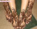 bridal-mehndi-henna29