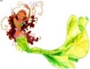 winx-mermaids-the-winx-club-10759123-120-92