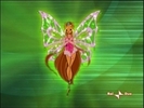winx-the-winx-club-5277426-320-240