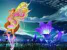 winx-the-winx-club-9461834-120-90
