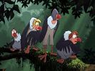 Disney Wallpaper (42)