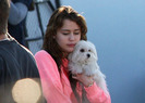 miley-cyrus-pooch-am