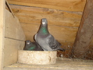 DSC01644