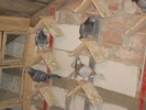 DSC01647