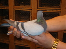 DSC01651