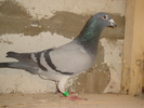 DSC01653