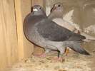 DSC01656