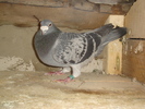 DSC01658