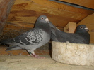 DSC01660
