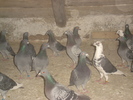 DSC01674