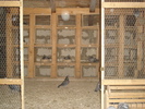 DSC01677