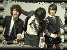 Jonas-Brothers-the-jonas-brothers-2977622-1024-768