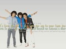 Jonas-Brothers-the-jonas-brothers-2977644-1024-768