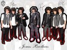 Jonas-Wallpapers-the-jonas-brothers-3586028-1024-768