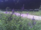 19-06-09_1405