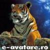 avatare_gratuite_9d0b483616dd12f29783f5689efa6bf7[1]