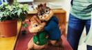 Alvin_and_the_Chipmunks_The_Squeakquel_1264259640_3_2009